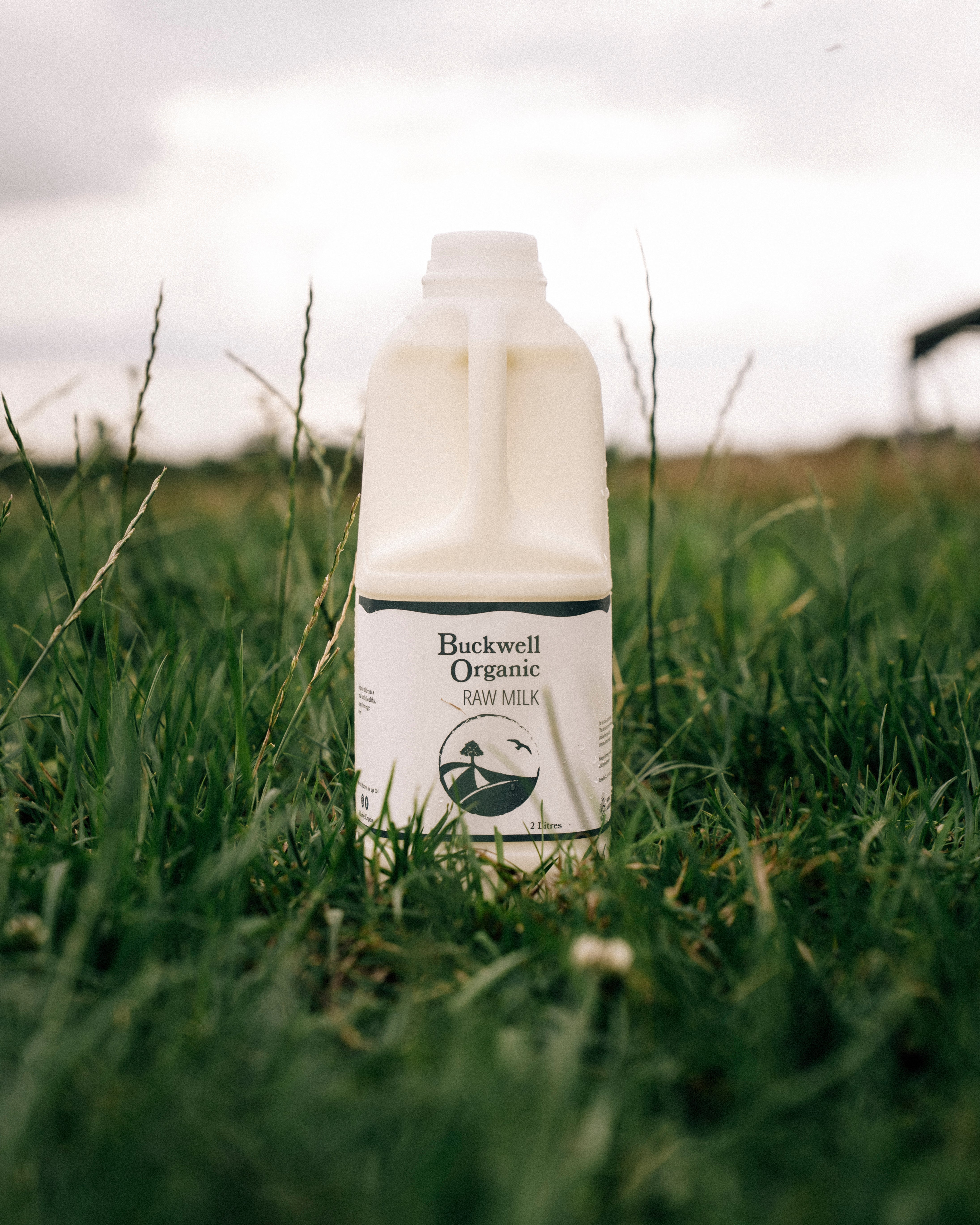 Buckwell Organic Raw Milk (2L Bottles)