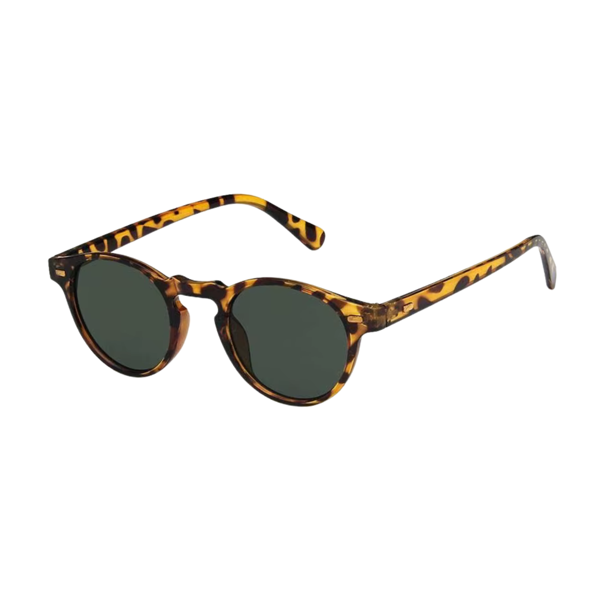 Sunglasses – Recife