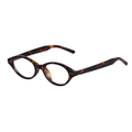 Sunglasses – Darwin